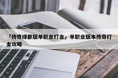 无赦单职业传奇私服无赦单职业传奇私服,森林网络单职业传奇私服v1